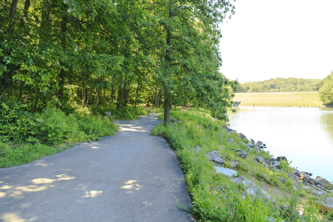 Lake Needwood Trails