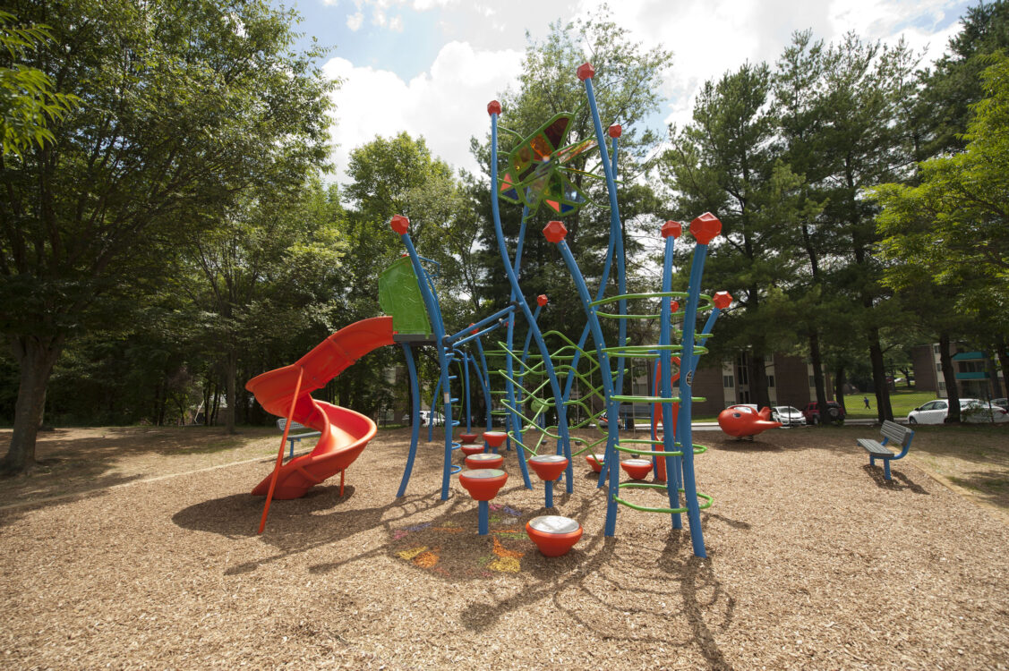 Playground at Saddlebrook Local Park