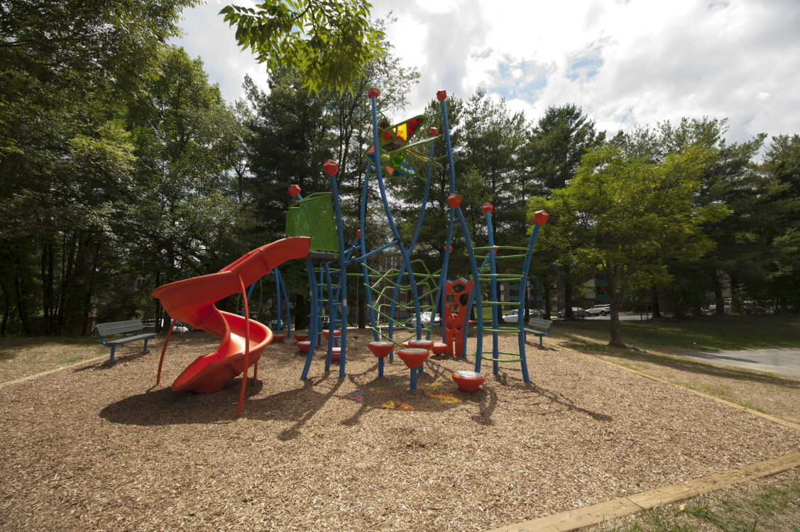 Playground at Saddlebrook Local Park