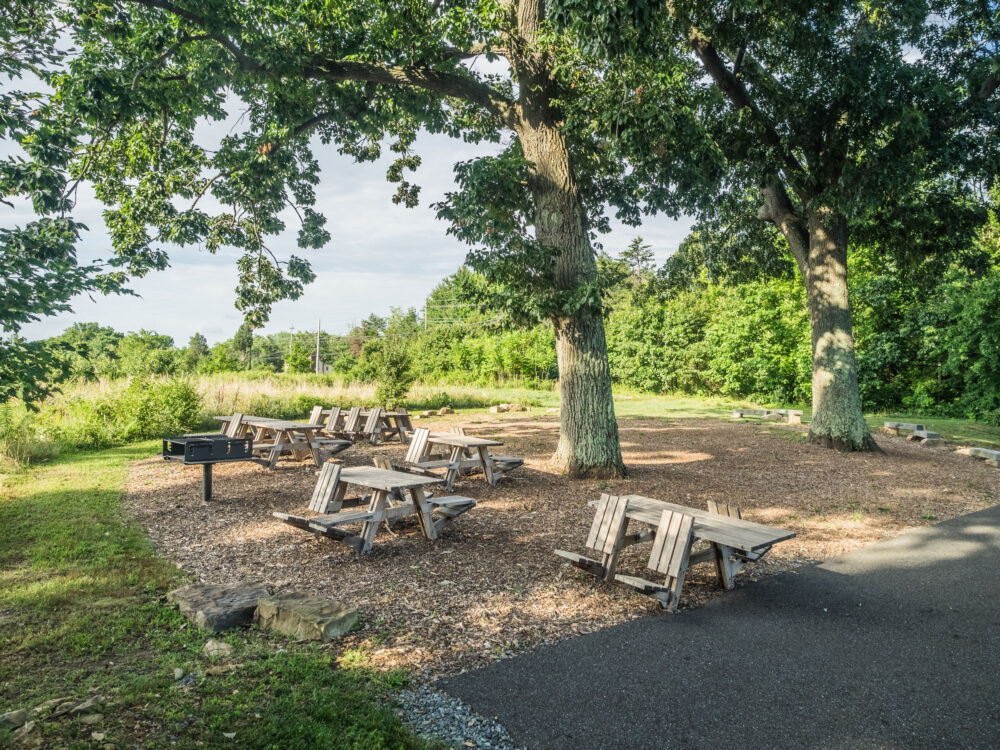 Picnic Tables at Little Bennett Regional Park