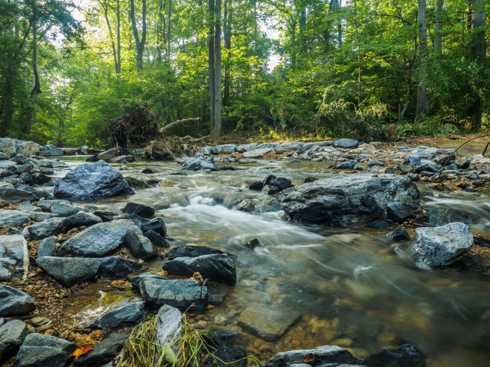 Stream at Little Bennett Regional Park