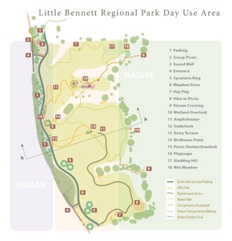 Little Bennett Regional Park Construction Map