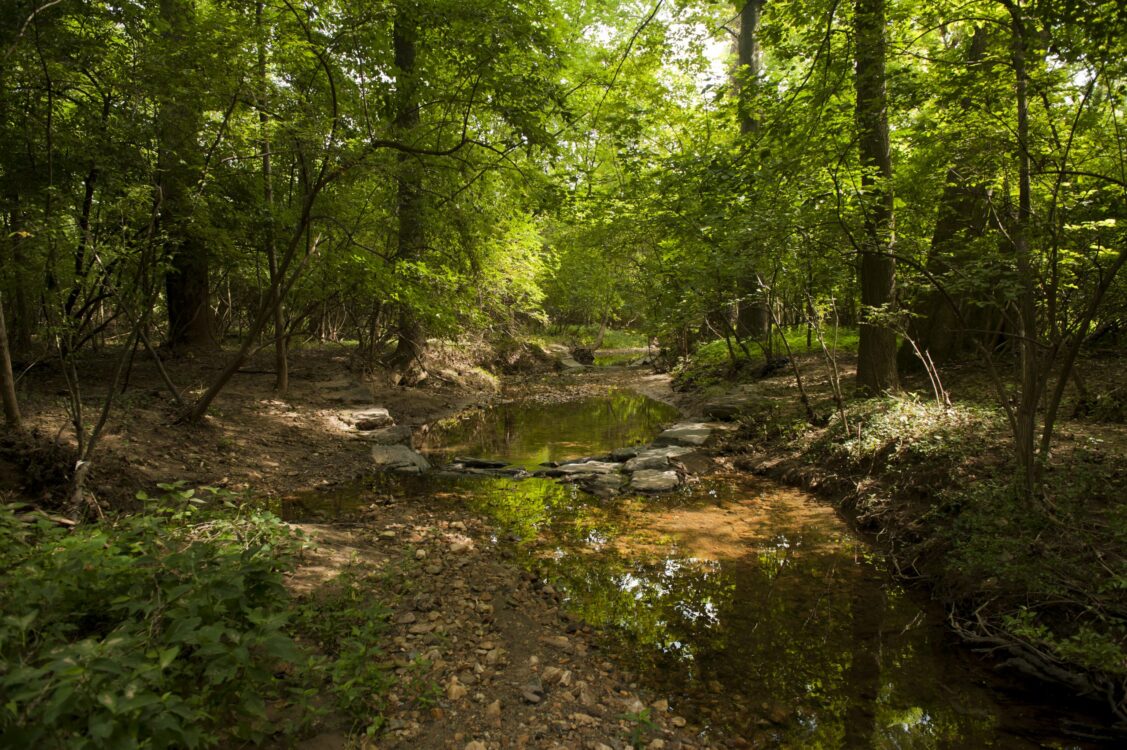 Woods at Locust Hill Neighborhood Park