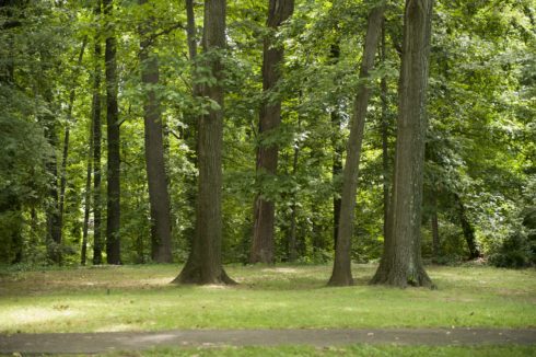 Long Branch Trail at Long Branch Stream Valley Park