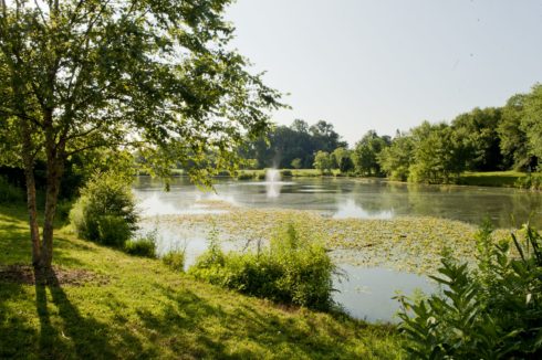 Lake at Martin Luther King, Jr. Recreation Park