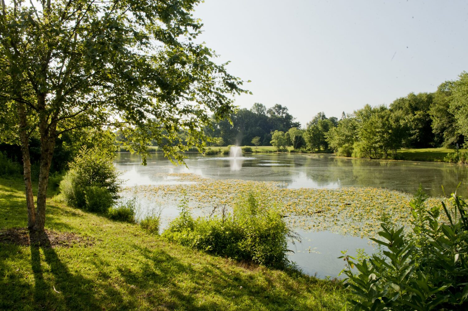 Martin Luther King, Jr. Recreation Park