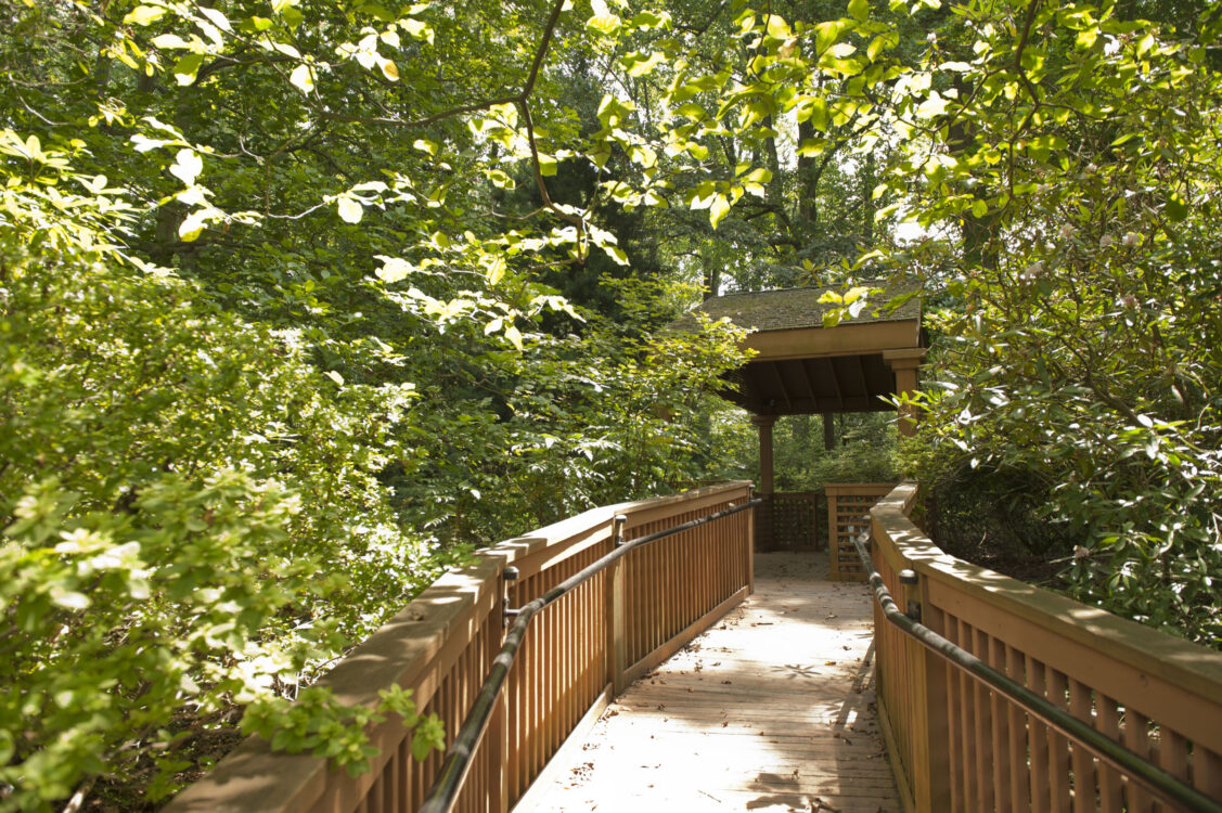 pathway at McCrillis House and Gardens