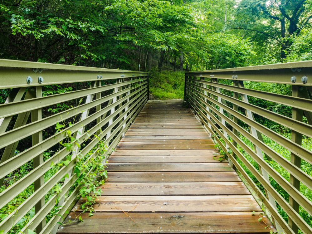 bridge to Meadowside Nature Center