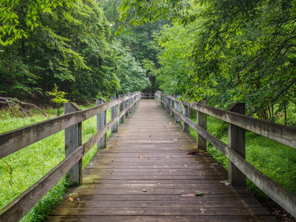 Bridge at Norbeck Meadows Neighborhood Park