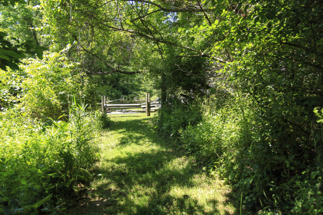 Trail at Oakley Cabin Trail