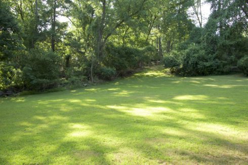 Open field at Old Farm Neighborhood Conservation Area