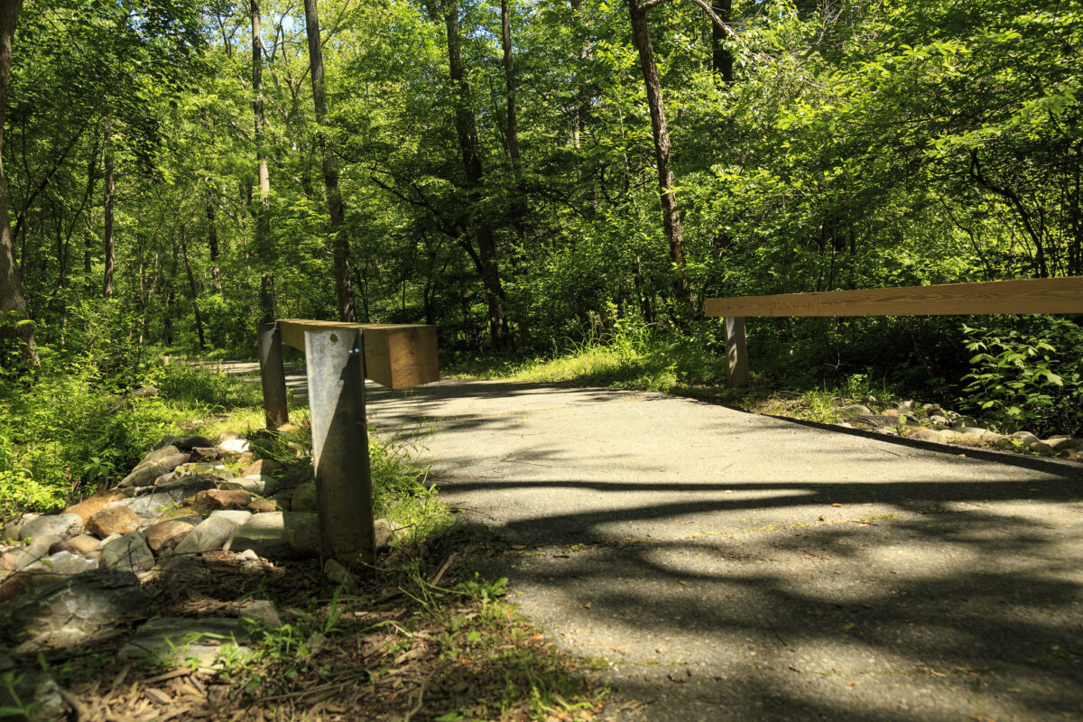 Paint Branch Trail