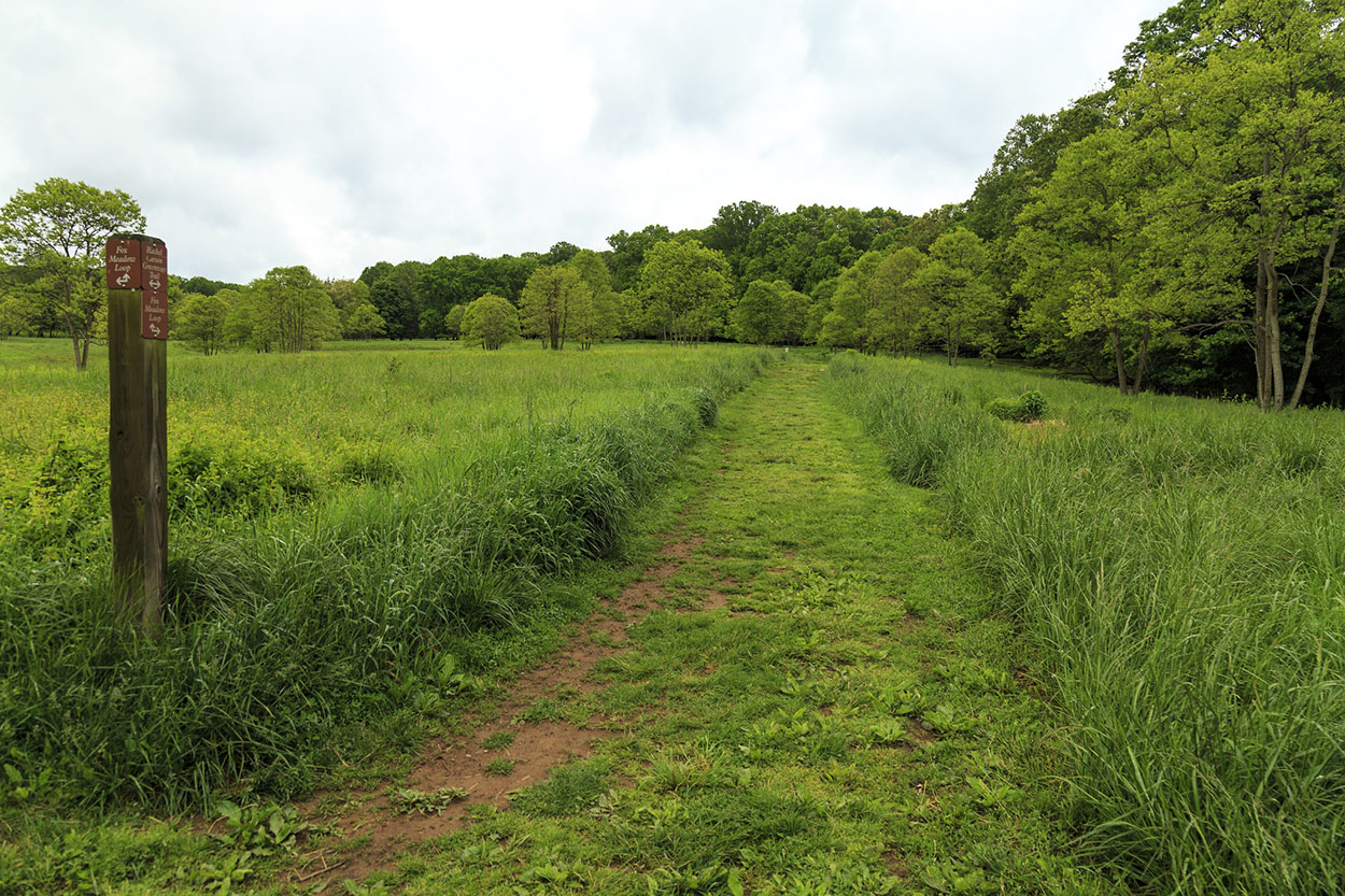 trail at rachel carson covervation park