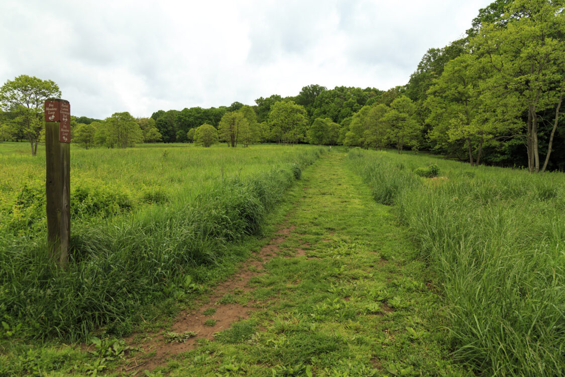 Trail at Rachel Carson Conservation Park Trails