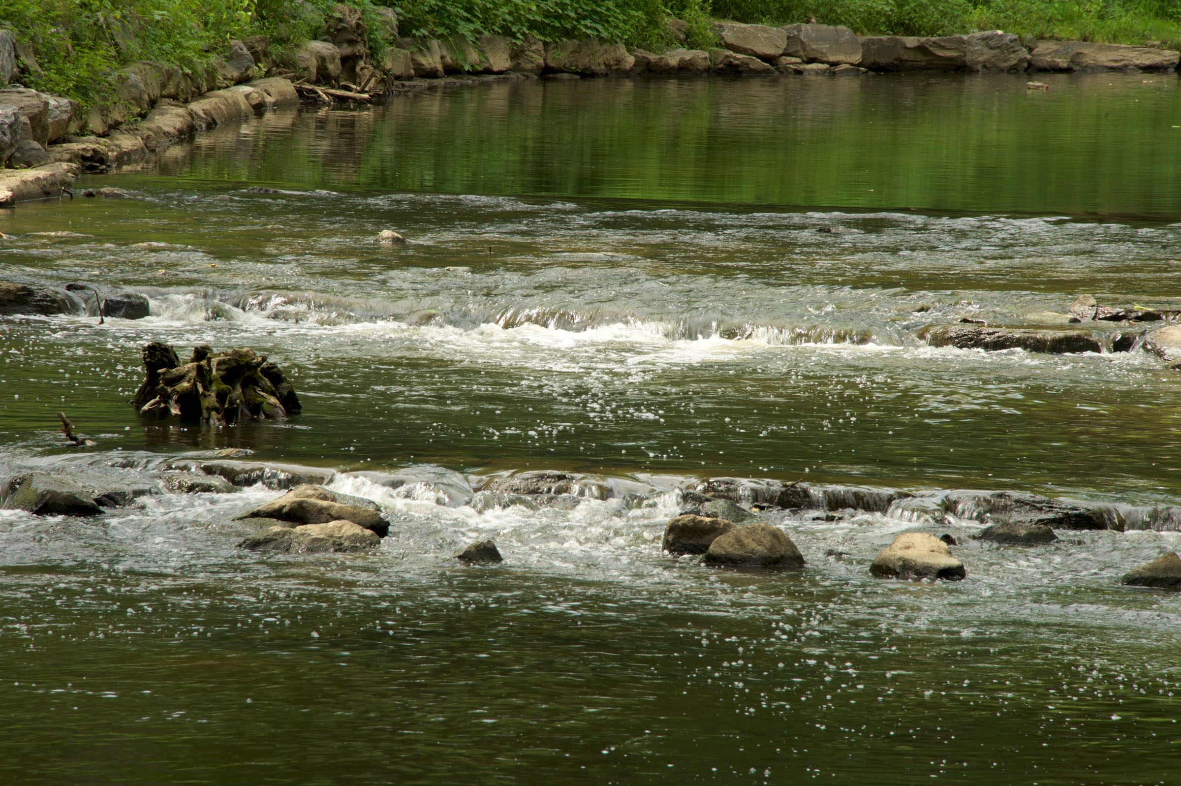 Stream at Ray's Meadow Local Park