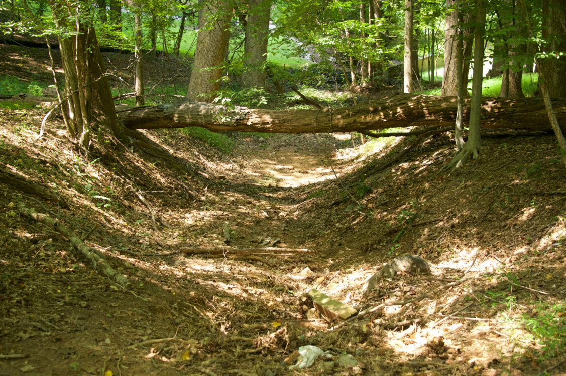 Rock Run Stream Valley Park