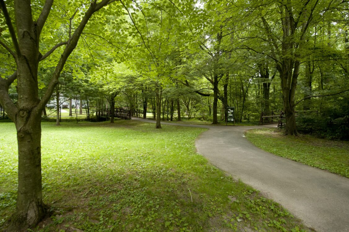 Pathway at Sligo Bennington Park