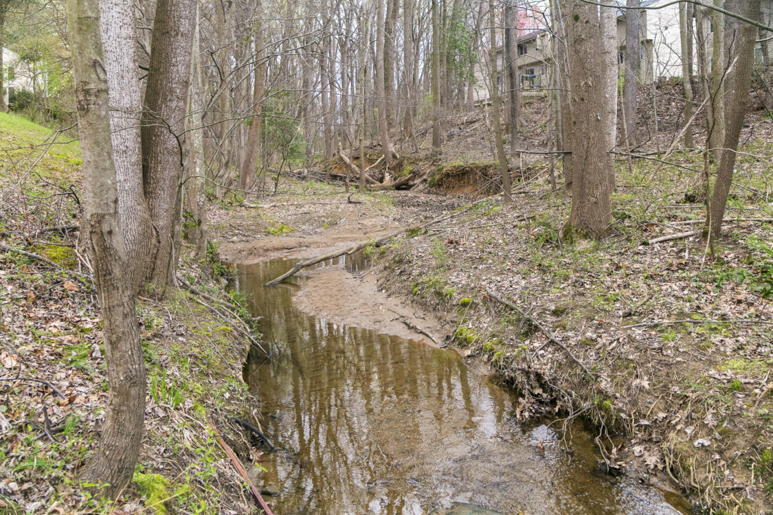 Stonecrest Neighborhood Conservation Area