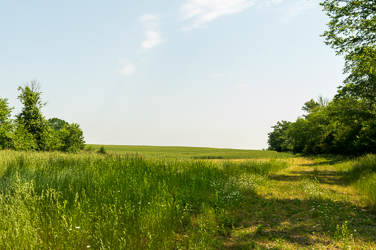 Meadow at Sugarland Special Park