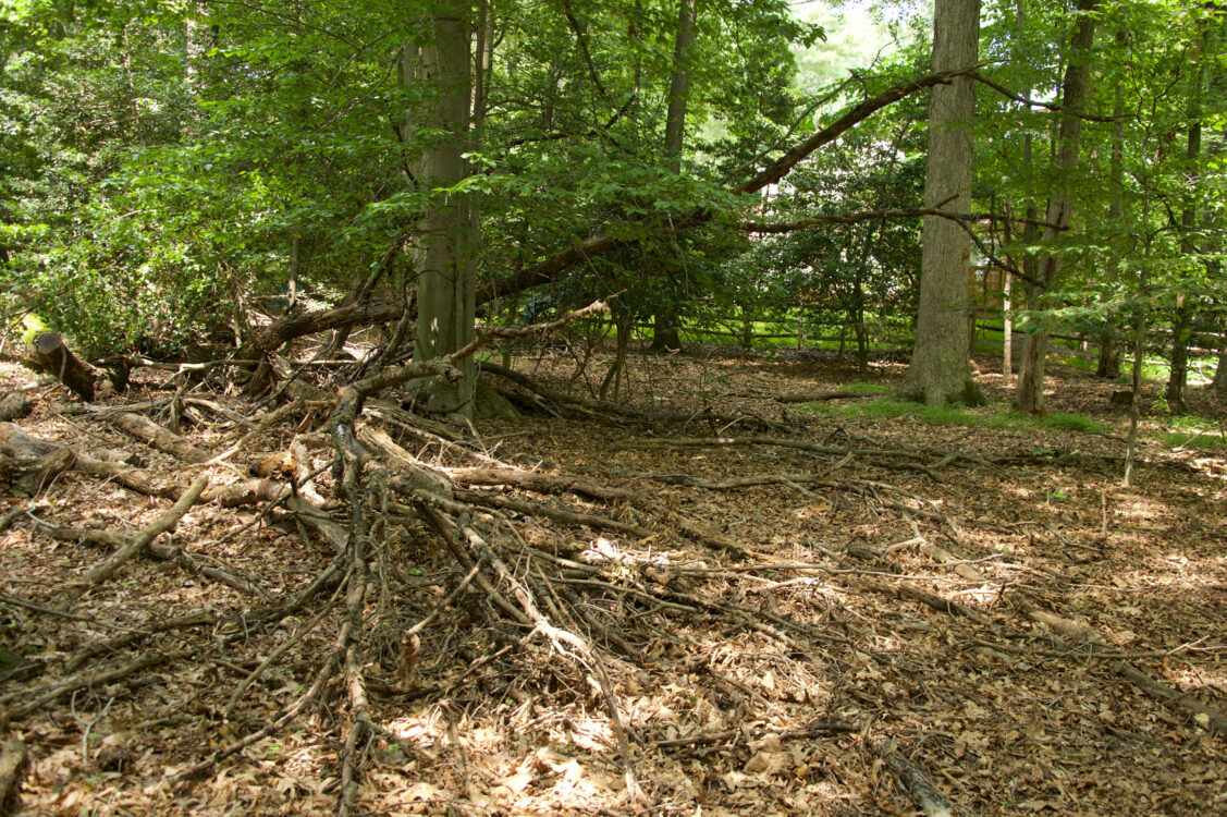 Tuckerman Neighborhood Conservation Area