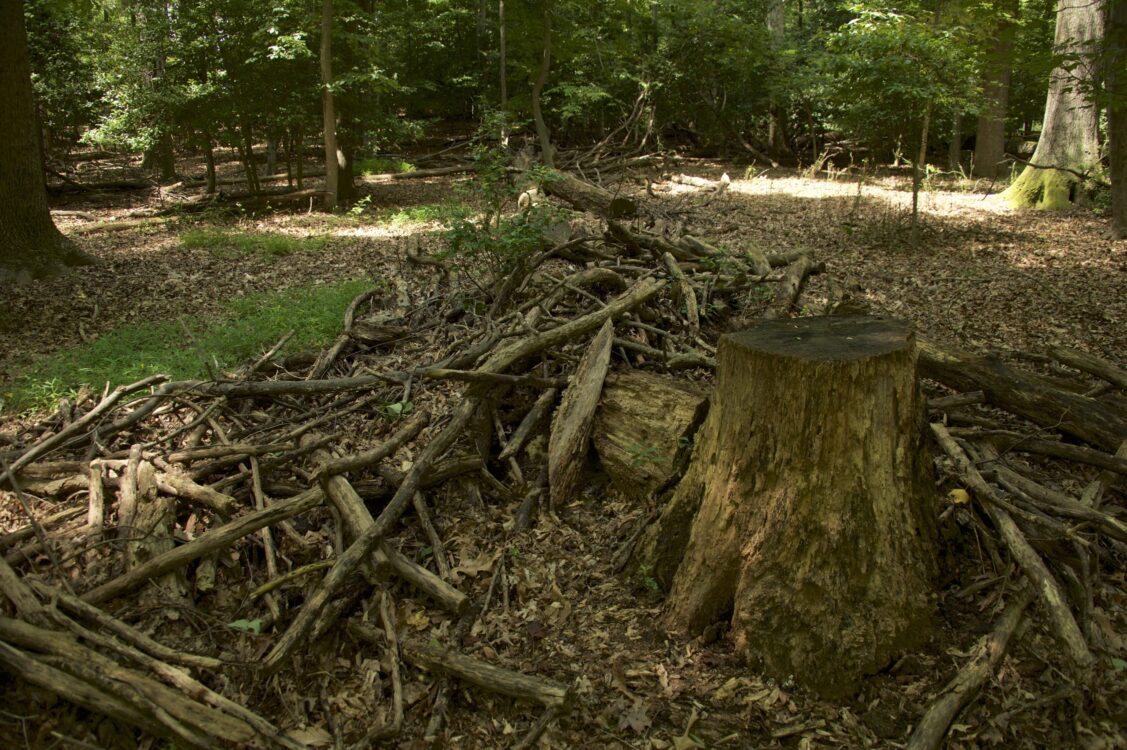 Tuckerman Neighborhood Conservation Area