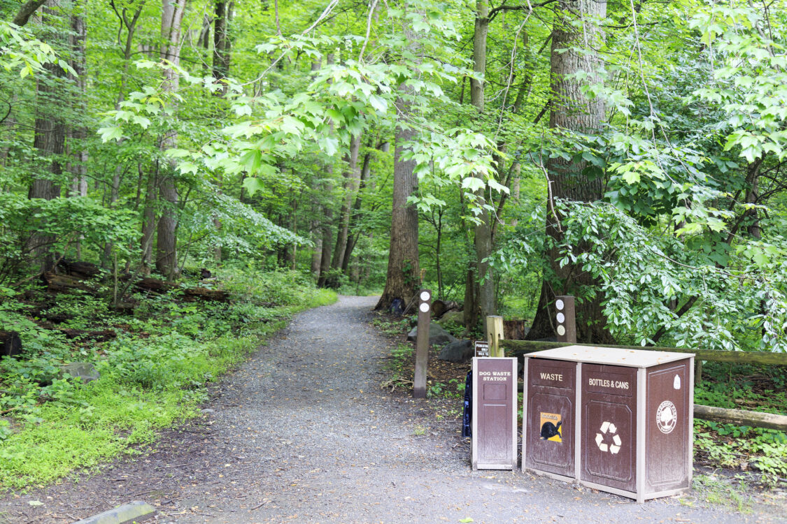 Wheaton Regional Park Trails