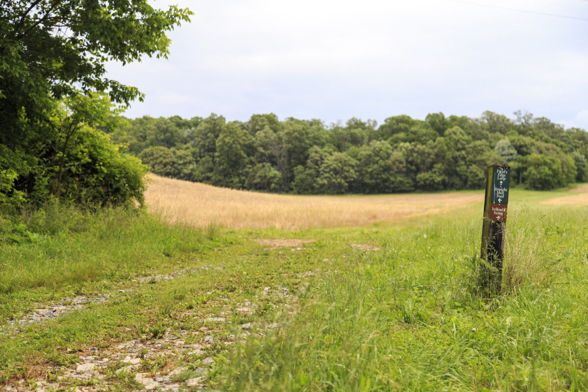 woodstock trails