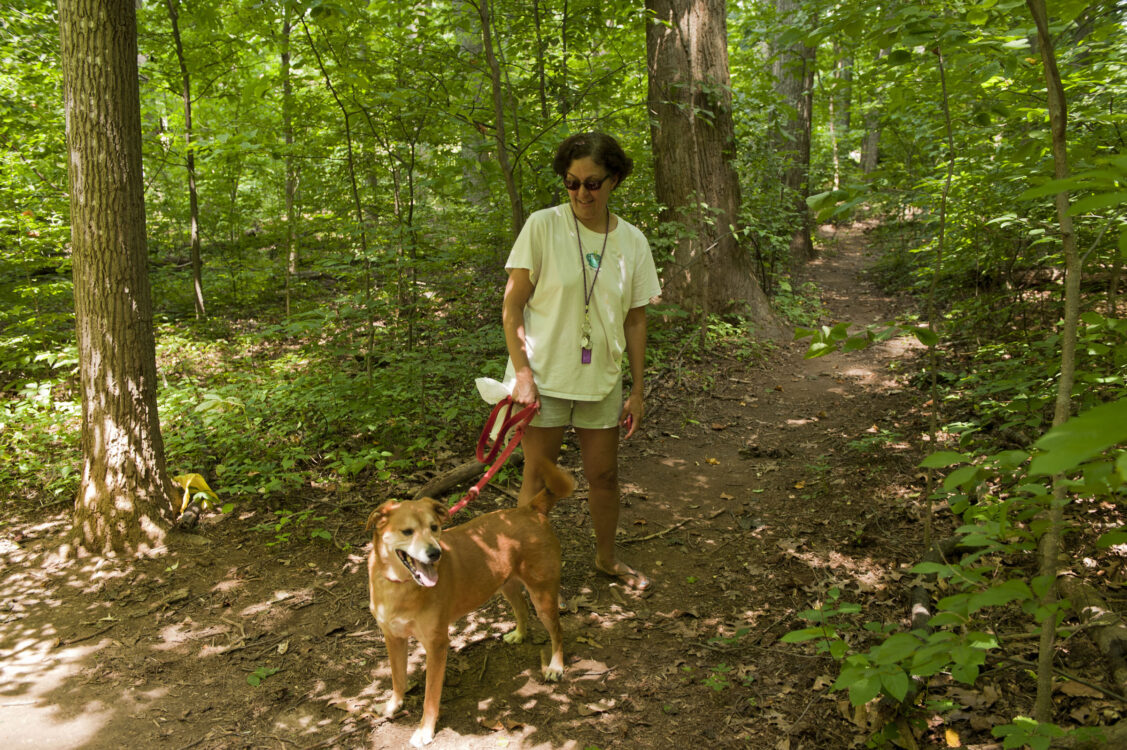 Patron walking a dog at Wyngate Woods Neighborhood Park