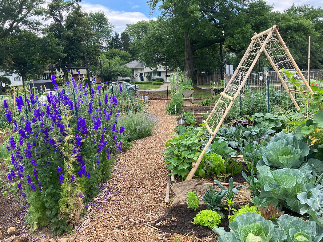 Bradley Park Community Garden