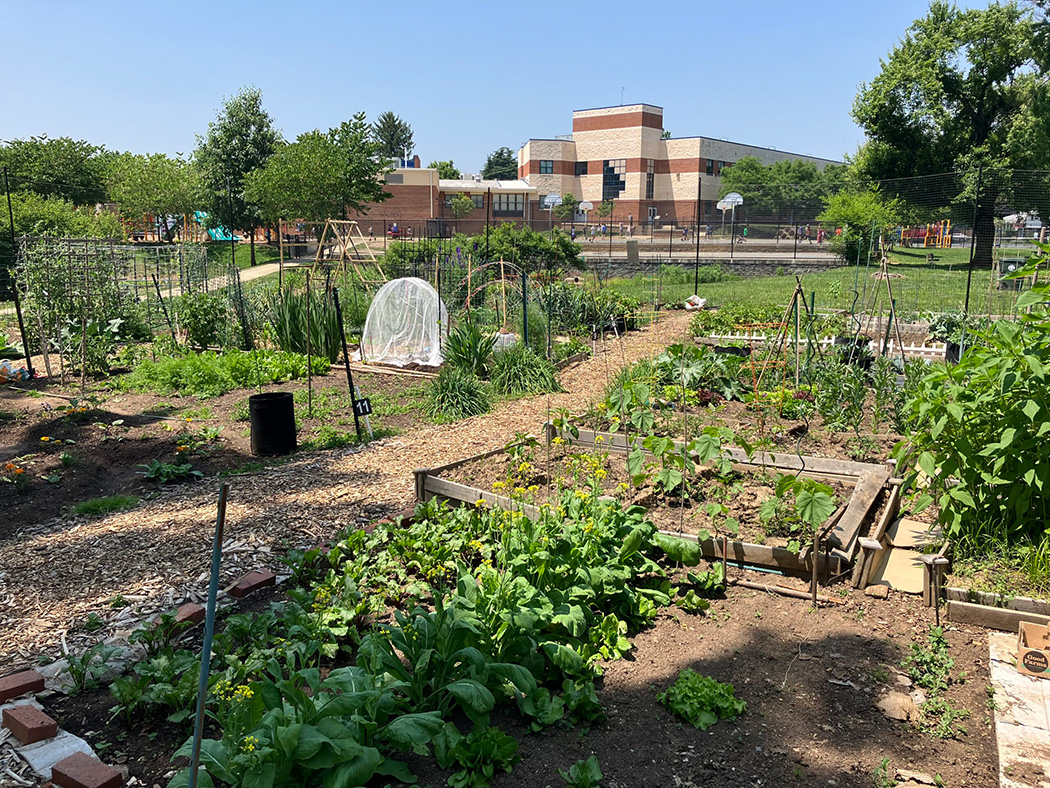 community gardens bradley park