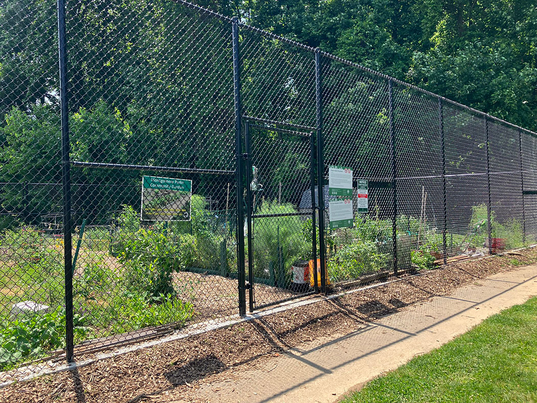 fcncing around community garden