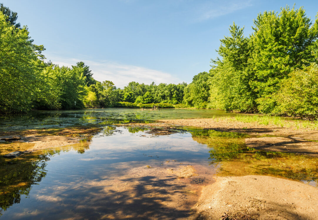 Twinponds Neighborhood Conservation Area