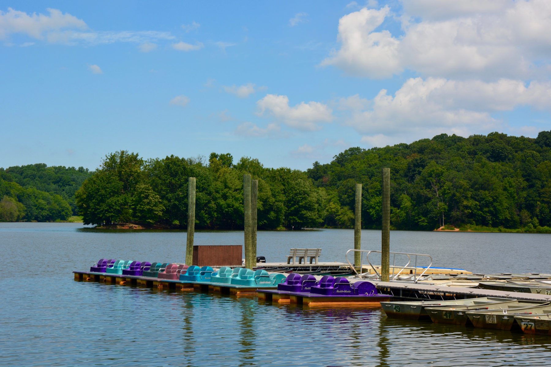 Paddleboats at Lake Needwood