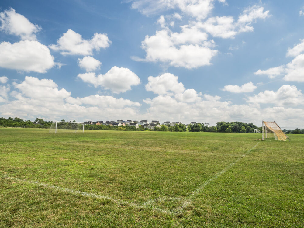 soccer field Ovid Hazen Wells Recreational Park