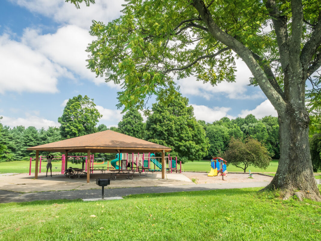 picnic shelter Facility at Redland Local Park