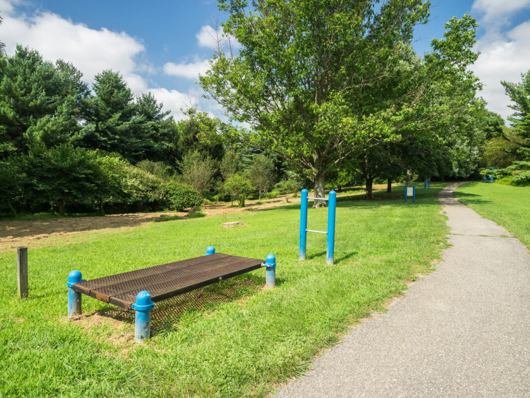 Exercise Equipment at Redland Local Park