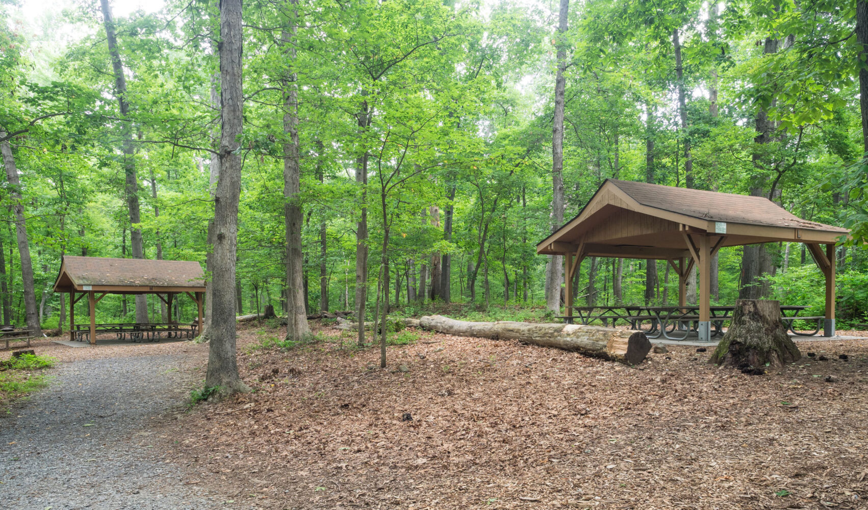 Picnic Shelters - Rock Creek Regional Park