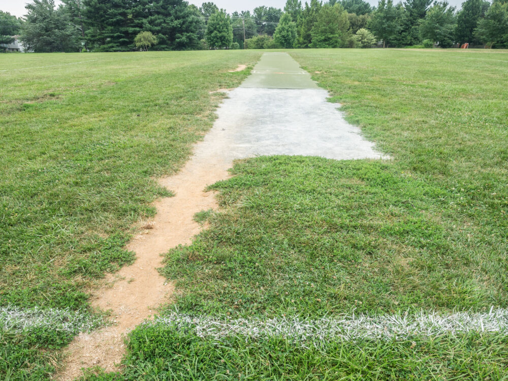 Cricket at Strawberry Knoll Local Park