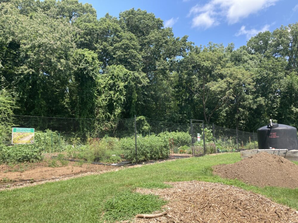 View of Brink Road Community Garden