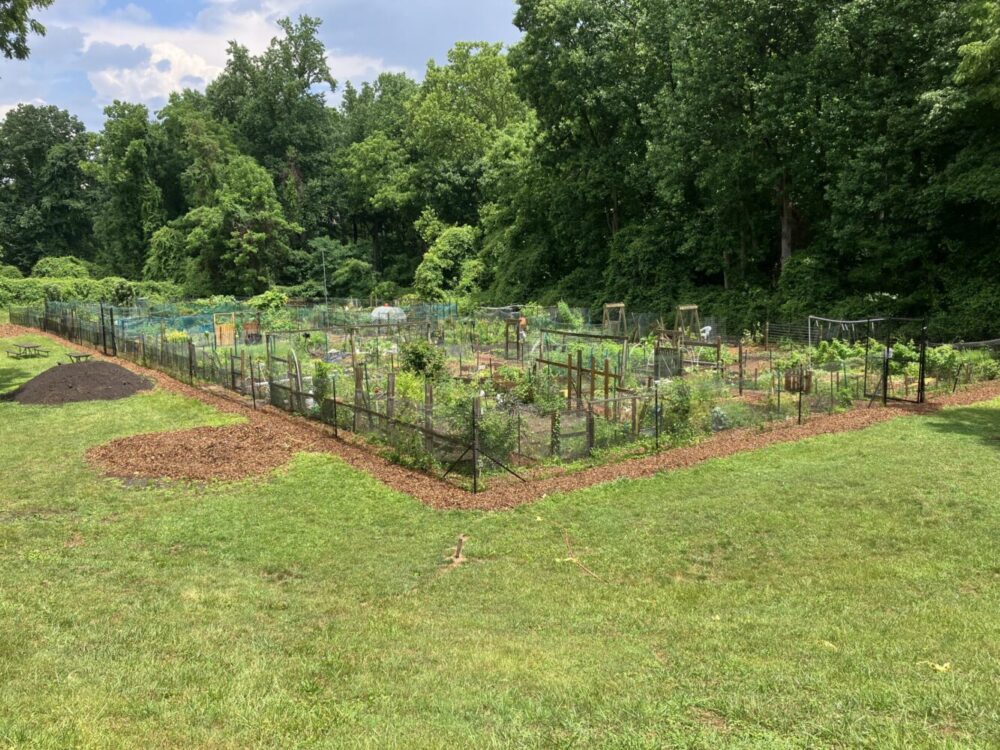 overview of Parklawn Community Garden