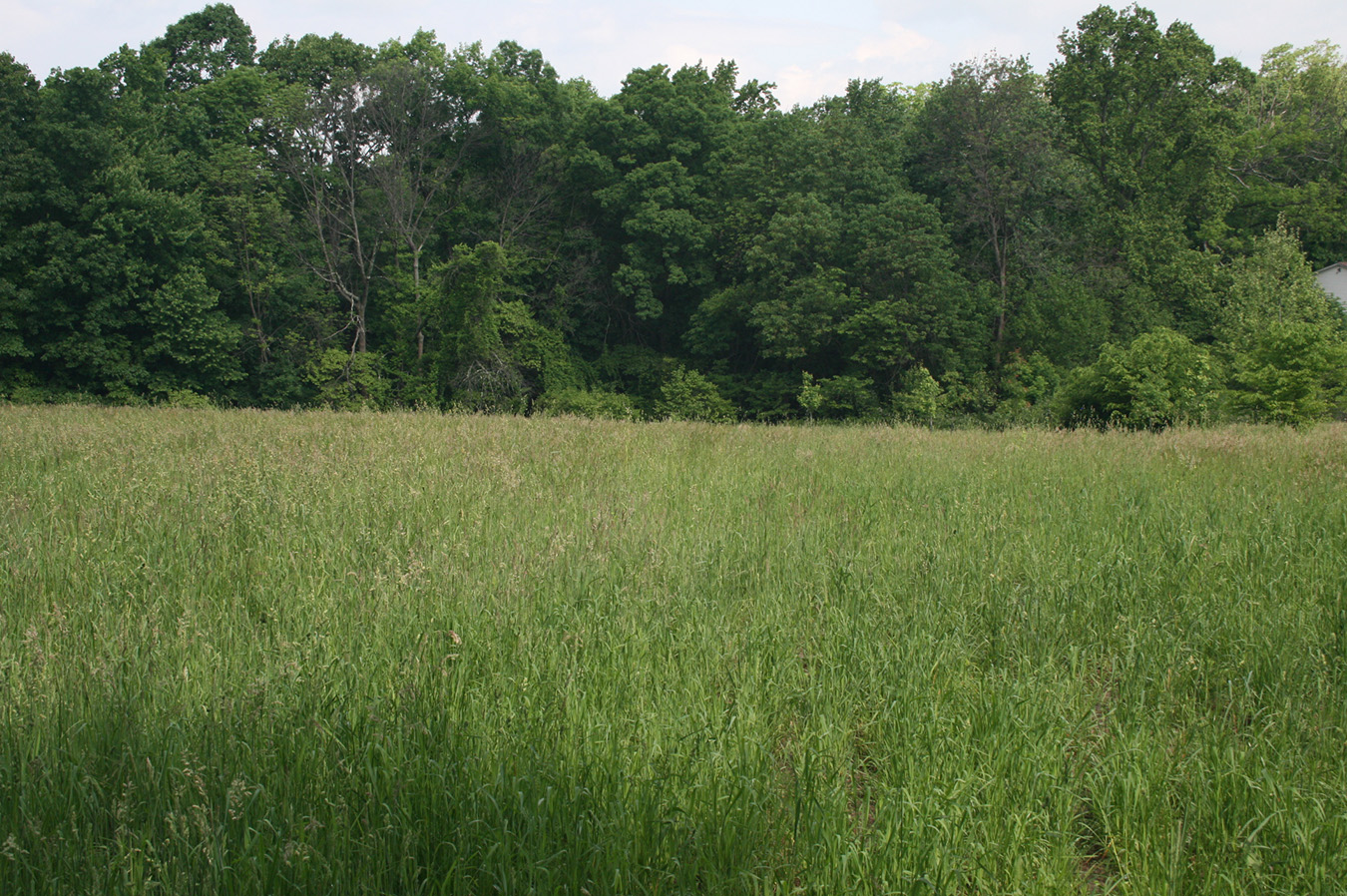 Bennett Creek Parks