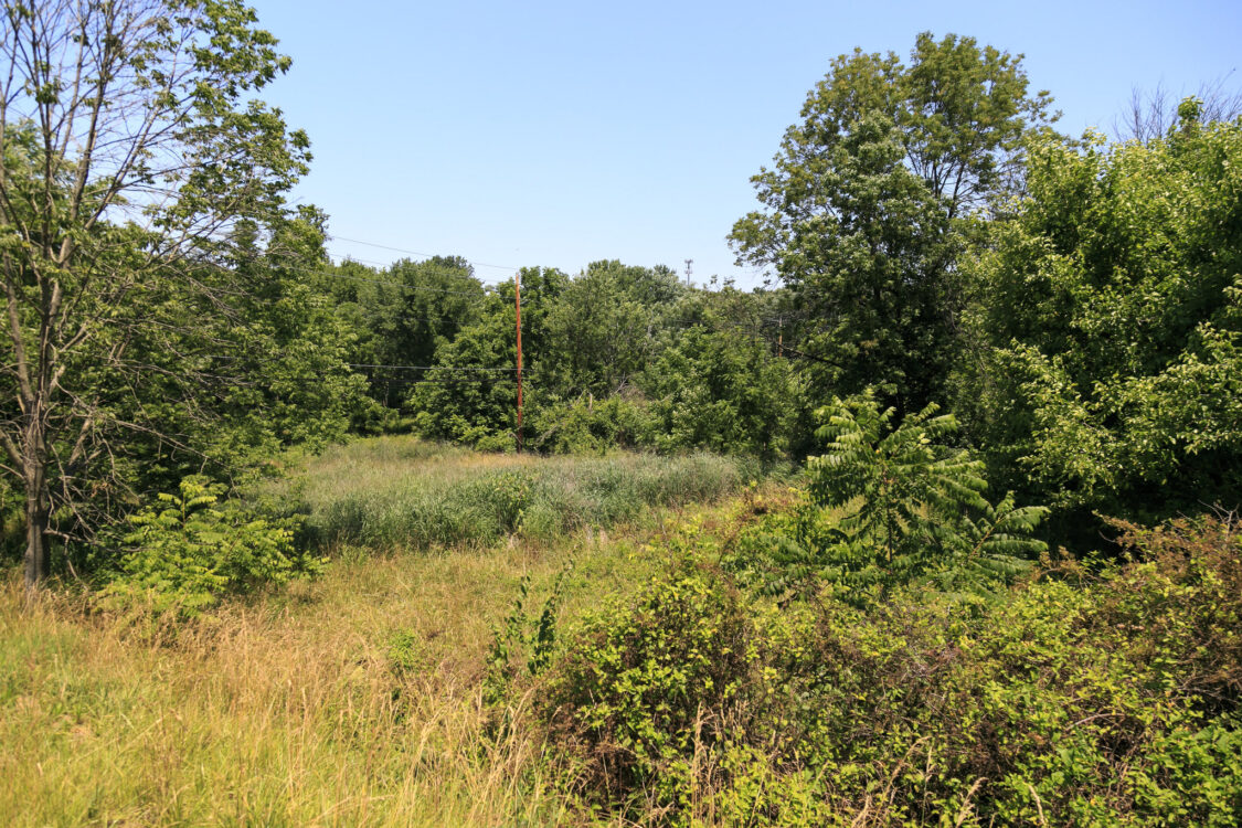 Greenway Ovid Hazen Wells Greenway Stream Valley Park