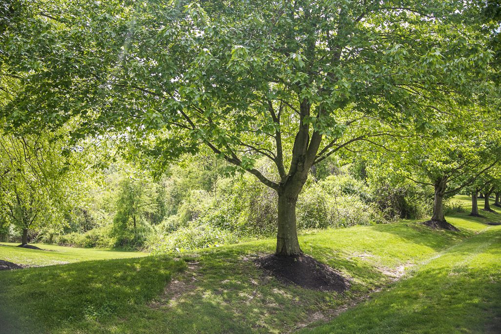 Patuxent River Watershed Conservation Park