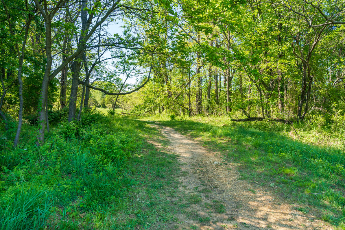 walking path in park Piedmont Crossing Local Park