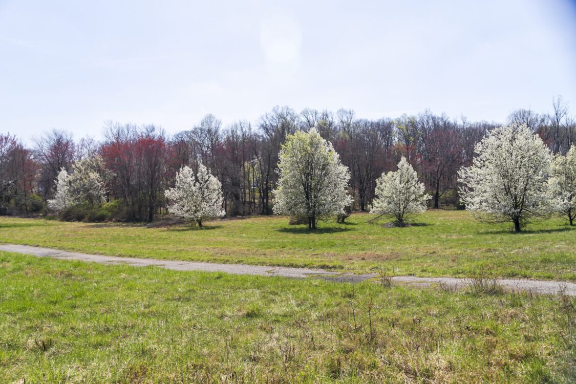 Santini Road Local Park