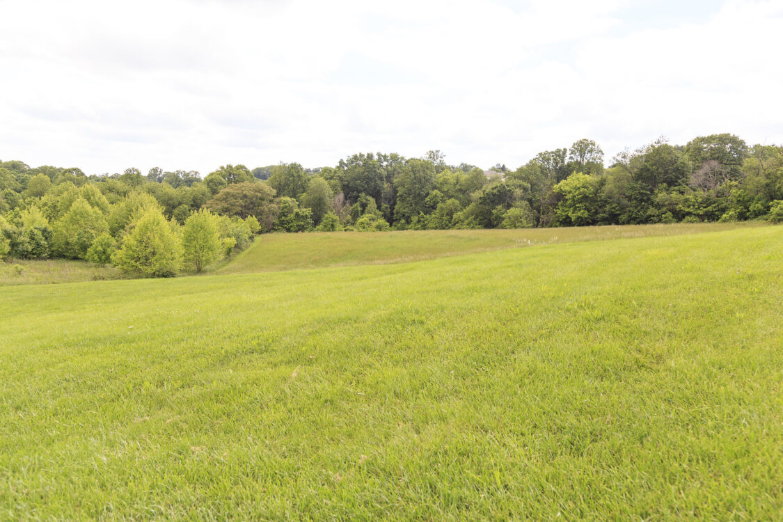 Meadow at Seneca Springs Local Park