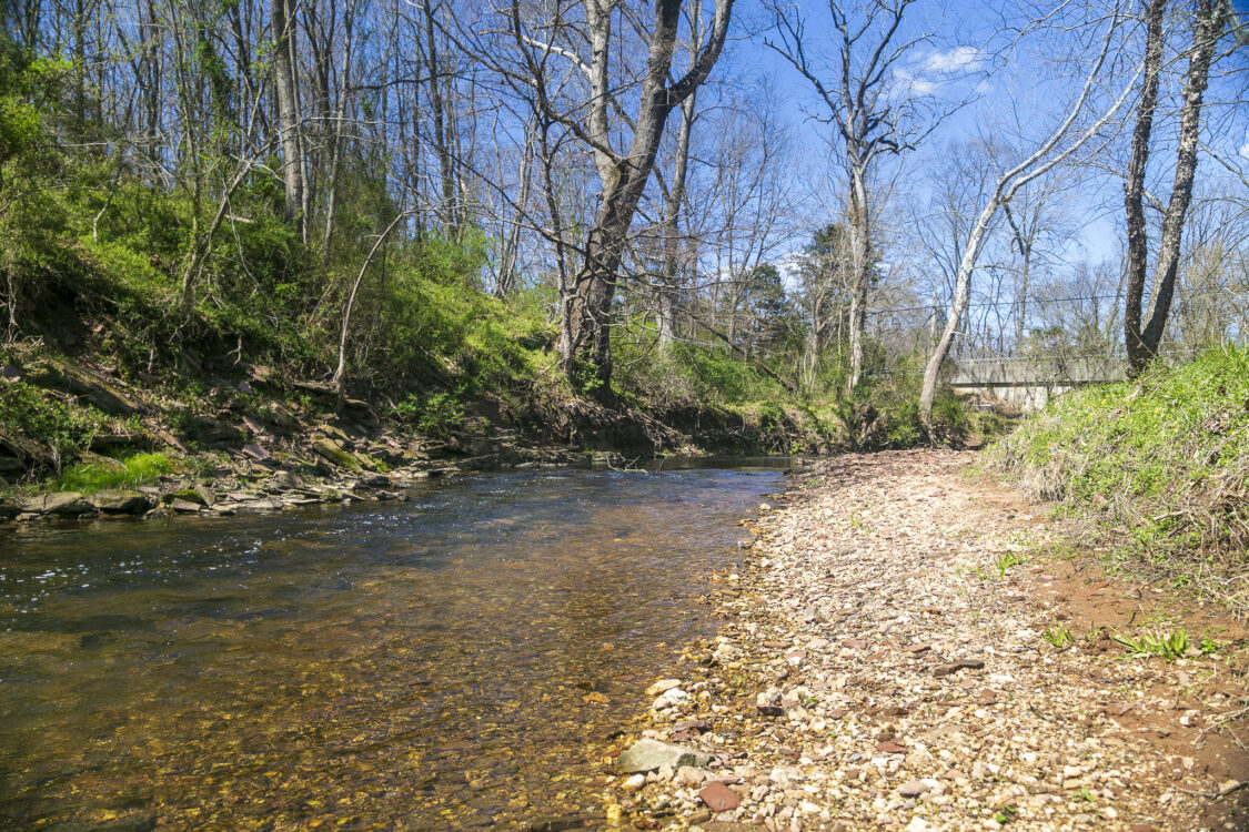 Stream at Great Seneca Stream Valley Park