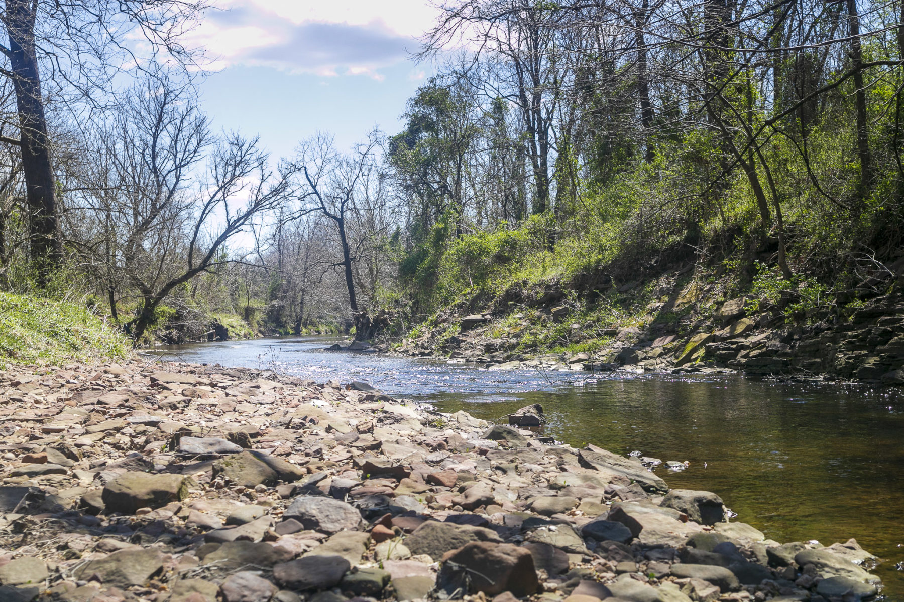 Stream at Great Seneca Stream Valley Park