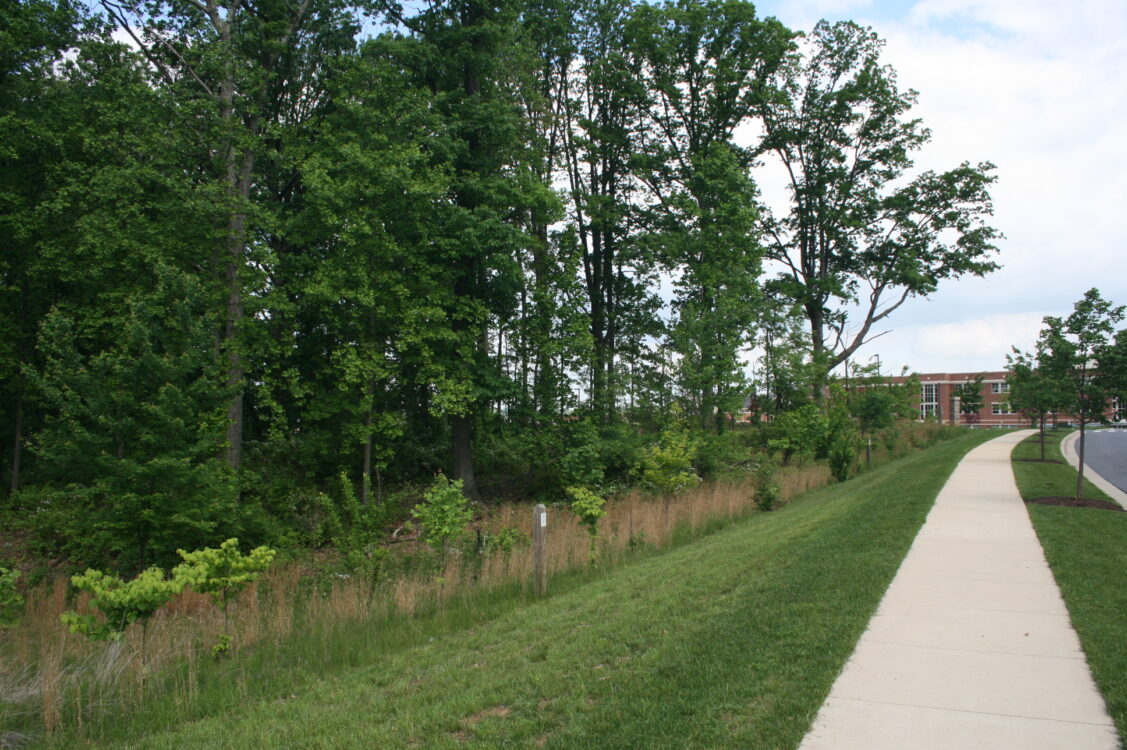 Greenway Village Neighborhood Park (Undeveloped)