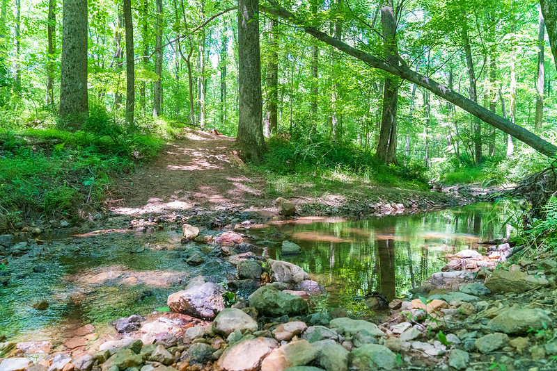 Upper Paint Branch Stream Valley Park Trails